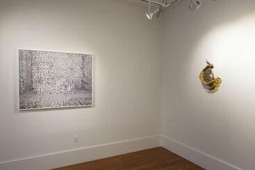 Gina Osterloh + Brie Ruais, installation view