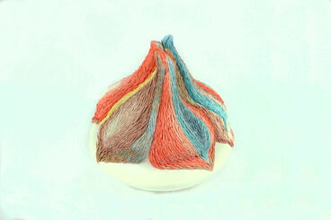 Maria Diletta Rondoni, ‘Multifolia variegata I’, 2023