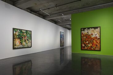 Vik Muniz, installation view