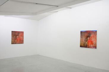 Turning the Viral Tempest, installation view