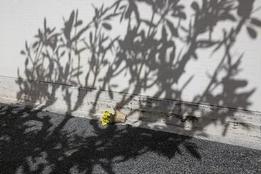 Jay Seawell, ‘National Memorial Cemetery of the Pacific, Honolulu, HI’, 2013