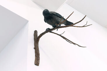 Assa Kauppi, ‘Herald’, 2023