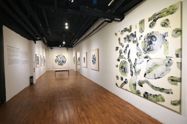 Misremembered but not Forgotten, installation view