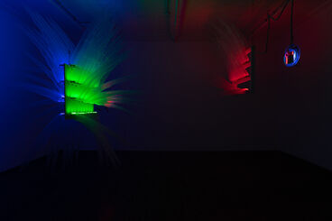 Incubate, installation view