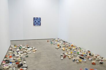 Alexandra Grant: Century of the Self, installation view