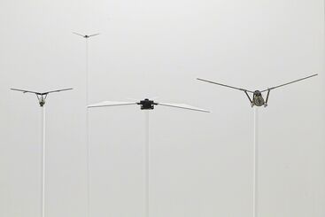 Marjetica Potrč – Micro Air Vehicles @ Der Würfel, installation view