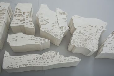 Irene Kopelman, ‘Maras en Angulo Virado (Maras from a Turned Angle)’, 2014