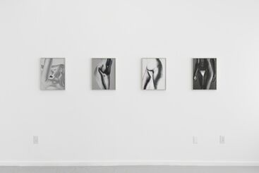 MONA KUHN: Bushes & Succulents, installation view