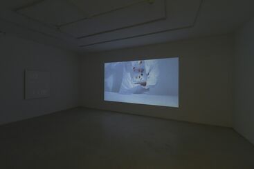 Adam Henry - As If Blue, installation view