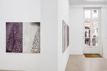 FX Combes "Unsaturated Diptychs", installation view