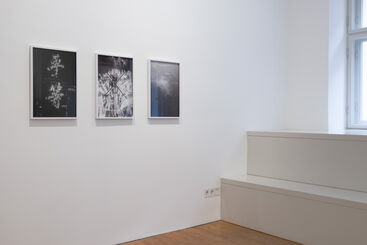 Mårten Lange | Ghost Witness, installation view