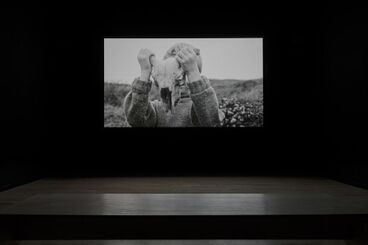 Duncan Campbell, ‘The Welfare of Tomás Ó Hallissy’, 2017