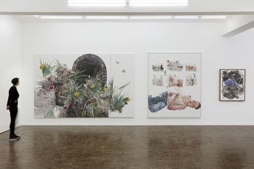 Deborah Poynton - The Human Abstract, installation view