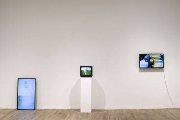 VICIOUS FRAMES, installation view