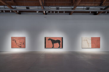 Susan Rothenberg: On Both Sides of My Line, installation view