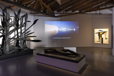 Emergency on Planet Earth: In A Time Close To Now, installation view