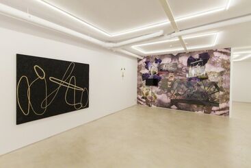 Two man show - Luis Gispert and Jacolby Satterwhite, installation view
