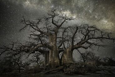 Beth Moon, ‘Fornax’, 2017