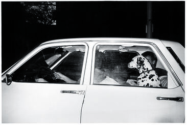 Maria Sewcz, ‘Dalmatian’, 1986