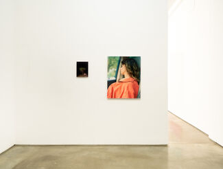 Lili Jamail, "Rollercoaster", installation view