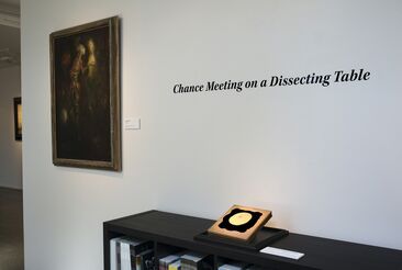 CHANCE MEETING ON A DISSECTING TABLE, installation view