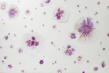 Maggie Shafran, ‘Lavender Constellation’, 2022