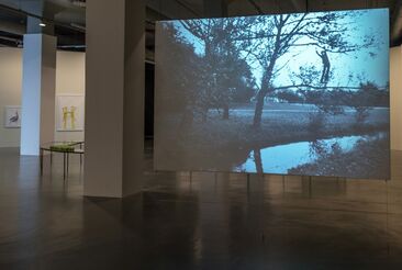 Bas Jan Ader, ‘Broken Fall (Organic)’, 1971