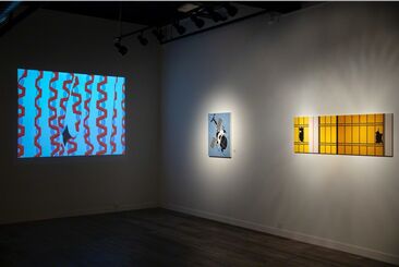 Welcome 2 Paradise, installation view