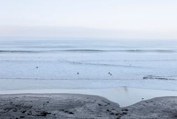 Shawna Ankenbrandt, ‘May Surf’