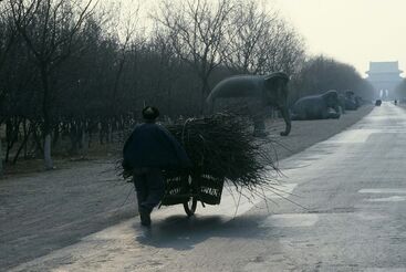 Pierre Terrasson, ‘“Chine 17 Ek16”’