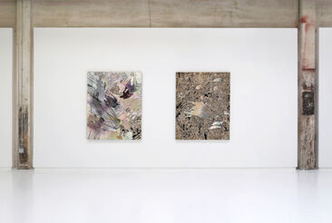 Double Nature, installation view