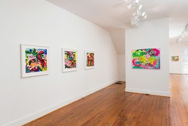 Canopy, installation view