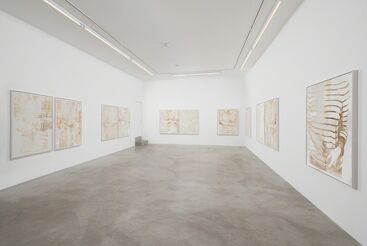 Matthew Brandt: Velvet and Bubble Wrap, installation view