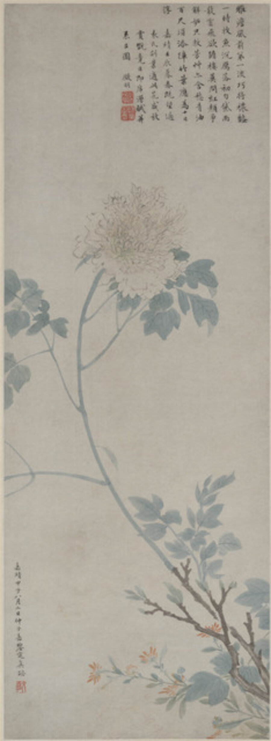 Peony