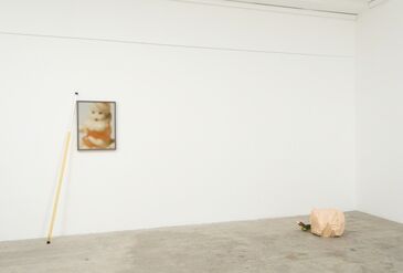 Anton Lieberman: Dog's Breakfast, installation view
