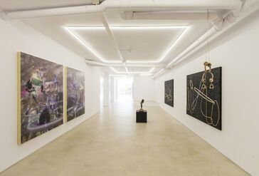 Two man show - Luis Gispert and Jacolby Satterwhite, installation view