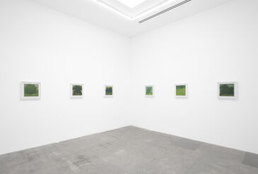Will Gabaldón : This must be the place, installation view