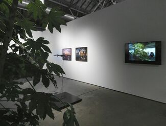 DITTRICH & SCHLECHTRIEM at Art Berlin 2017, installation view