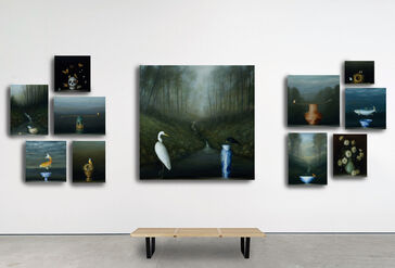 David Kroll: Fragile Nature, installation view