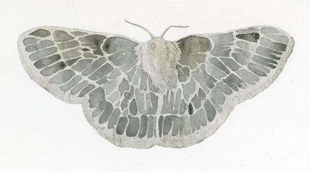 Jim Holyoak, ‘Emerald Moth (Cut Out)’, year unknown