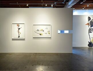 Solid Ether, installation view