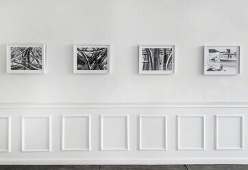 David Black: "Landscapes", installation view