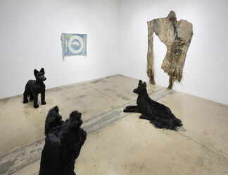 The Dog, the Tree and the Catfish, installation view