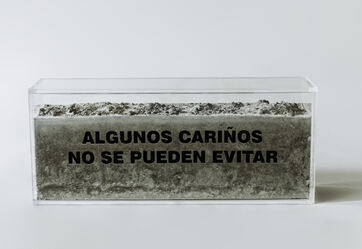 Luisi Llosa, ‘Algunos carinos no se pueden evitar’, 2019