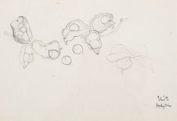 Eliot Hodgkin, ‘Walnuts’