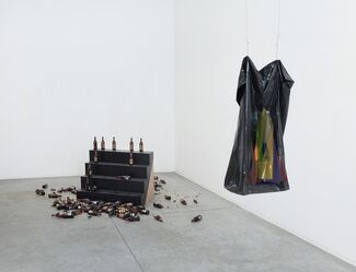 Don't Try, installation view