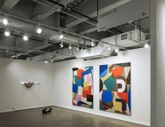 Carbon 12 at Dallas Art Fair 2016, installation view