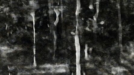 Avinash Veeraraghavan, ‘Breathing Charcoal Soaked in a Shallow Forest Sream’, 2010