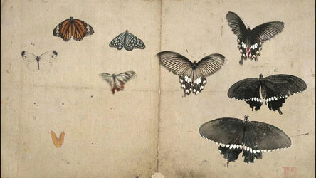 Mami Kosemura, ‘蝶  – Butterfly –’, 2008