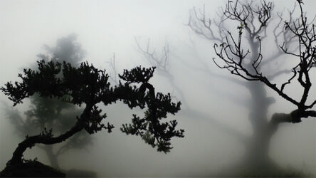 Wu Chi-Tsung, ‘Landscape In The Mist 001’, 2012
